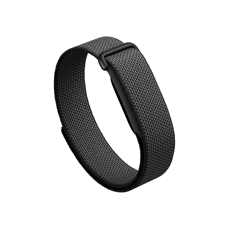 Google Fitbit Air